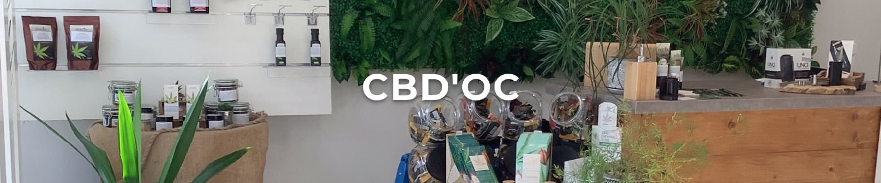 header cdboc