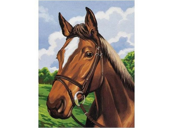 Kit canevas Cheval