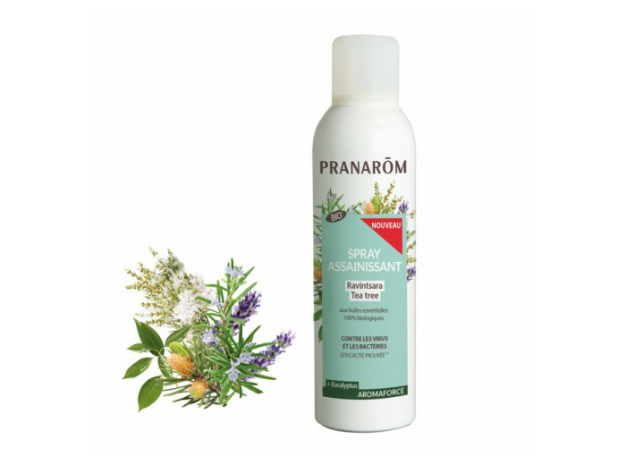 PRAN AROMAFORCE SPRAY RAVIN/T-TREE 150ML
