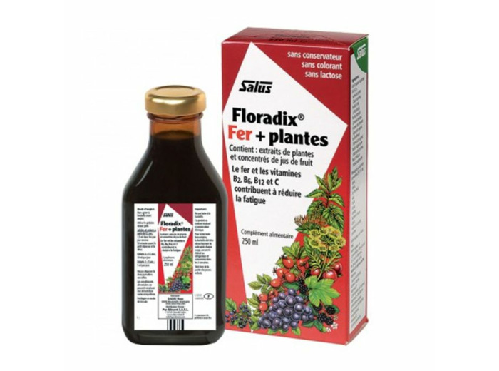 FLORADIX FERPLANT BOISS 250ML