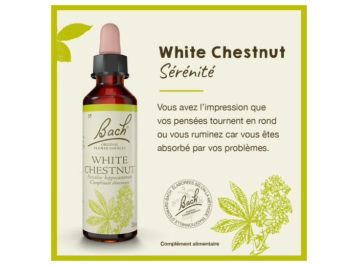 FLEUR BACH WHITE CHESTNUT GTT 20ML