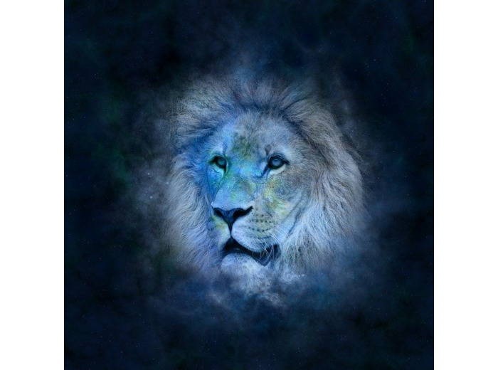 LION - 21/07 au 20/08