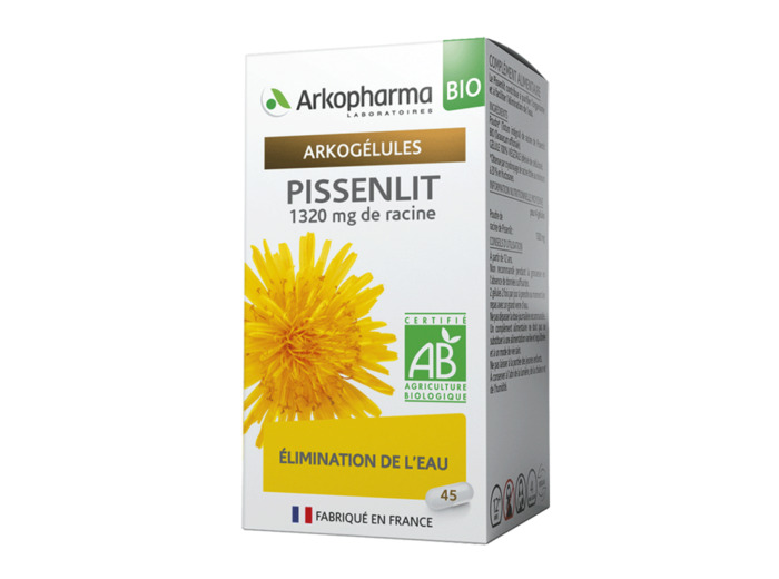 AKG PISSENLIT BIO FL45 GELU