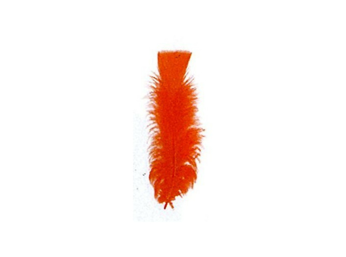 Plumes de dinde - Orange