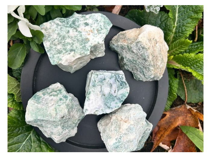 PIERRE BRUTE AGATE ARBRE