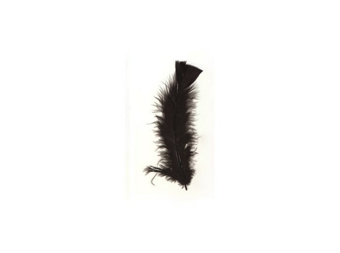 Plumes de dinde - Noir