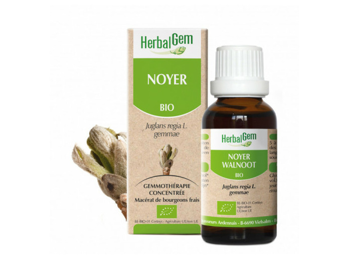 HERBALGEM NOYER 30ML