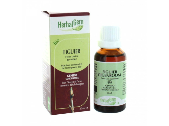 HERBALGEM FIGUIER 30ML