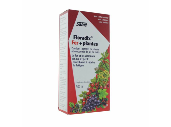 FLORADIX FERPLANT BOISS 500ML