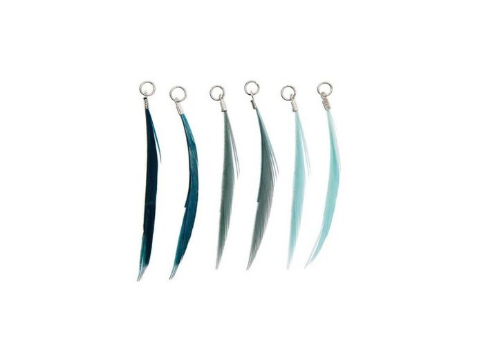 Assortiment 6 Plumes turquoises
