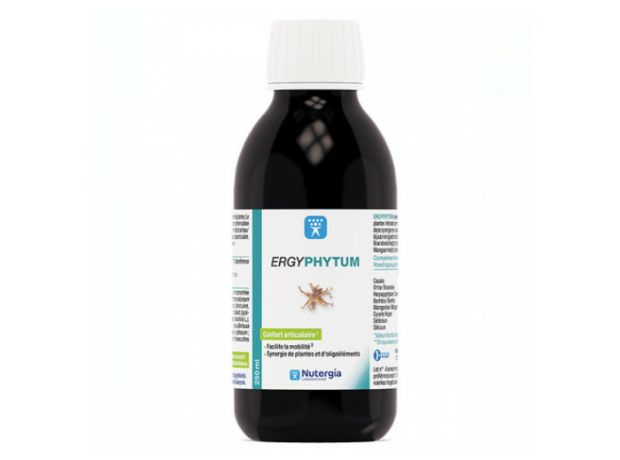 ERGYPHYTUM SOL BUV  FL250ML