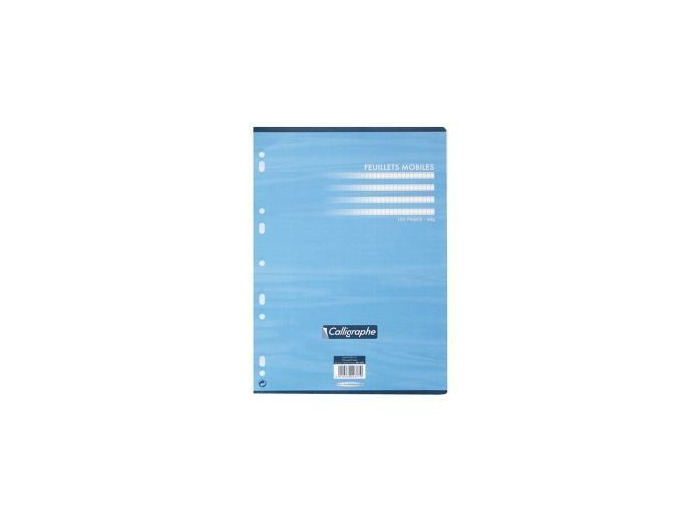 Feuillets mobiles 21x29,7 - 100 pages - Ligné
