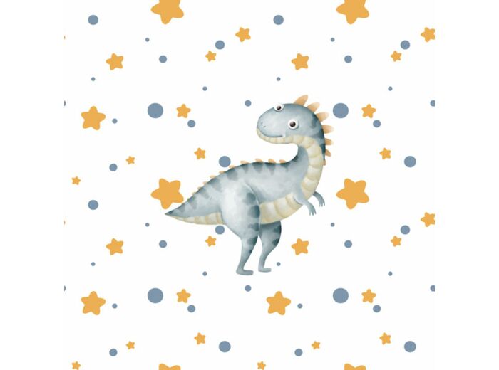Panneau étanche dinosaure et étoiles 1 - 40 x 40 cm