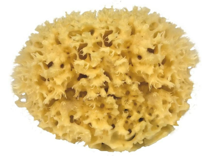 Croll & Denecke Naturschwamm M 110 ca. 11 cm