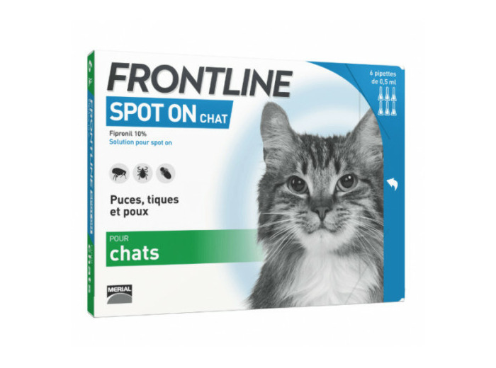 FRONTLINE CHAT 3 PIP