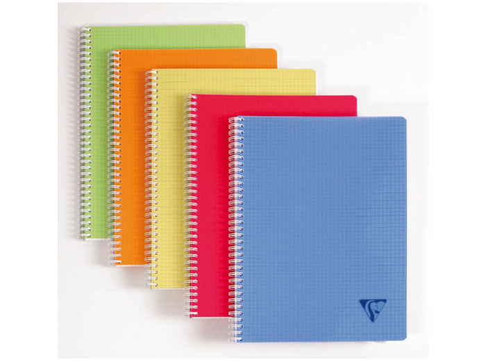 Cahier "Linicolor" 24x32 - 100 pages - Séyès