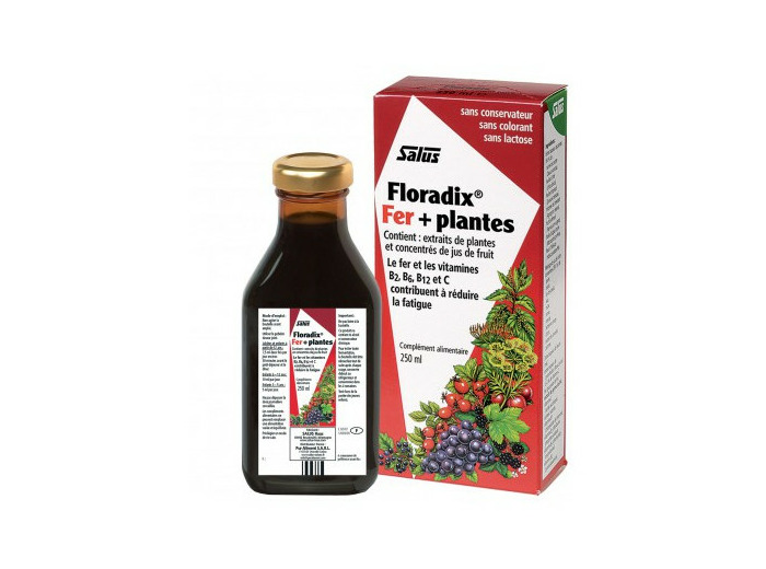 Floradix Fer + Plantes 500 ml Salus