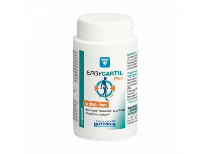 ERGYCARTIL FLEX 90 GELULES