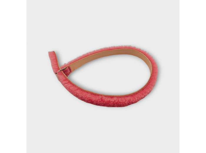 Collier pour chien et chat