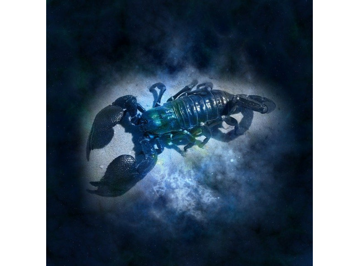 SCORPION - 21/10 au 20/11