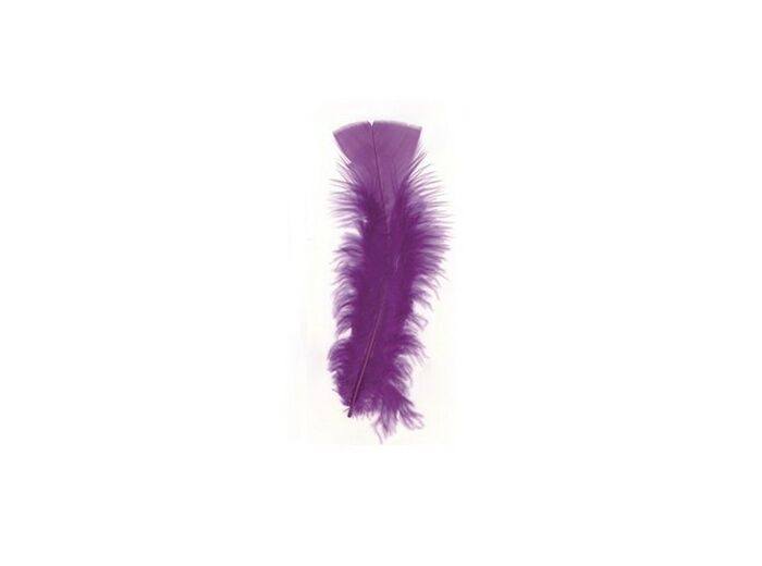 Plumes de dinde  - Violet