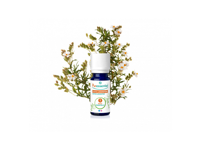 PSL HE CISTE LADA BIO 5ML