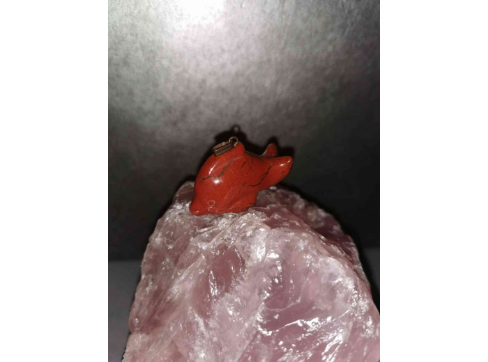 Pendentif dauphin Jaspe rouge