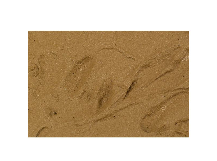 26219 Brown Earth - Terre Brune