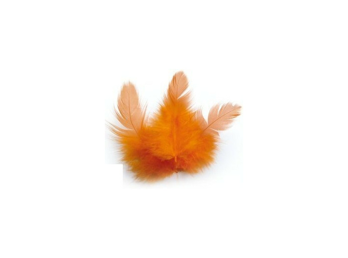 Plumes de coq - Orange