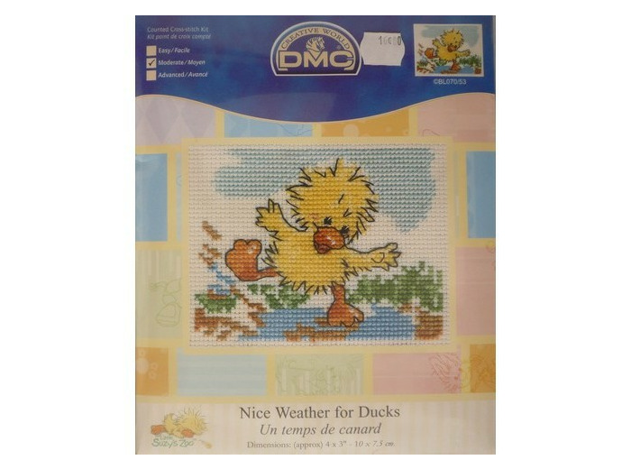 Kit broderie, Un temps de canard DMC