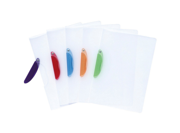 Lot de 5 chemises à clip A4