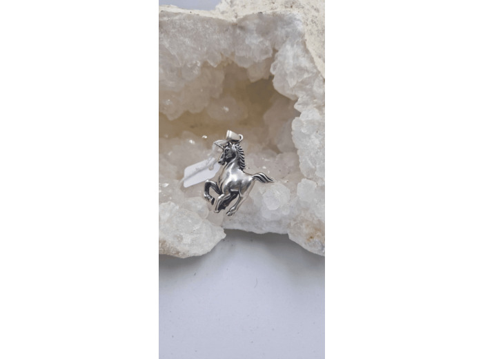 Pendentif licorne argent 925 olpa2454
