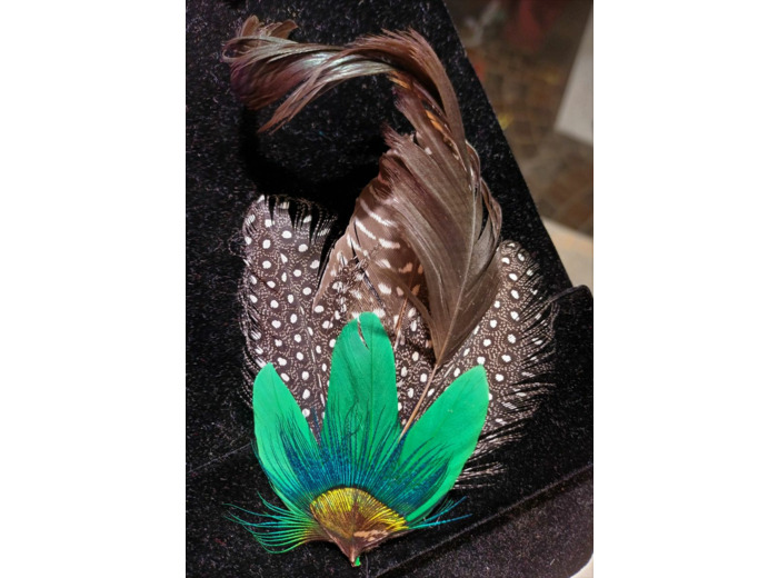 broche barrette en plumes
