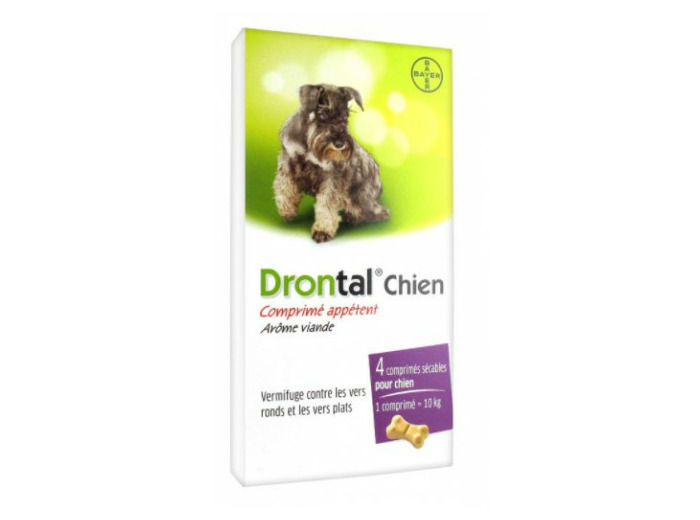 DRONTAL CHIEN CPR B/4
