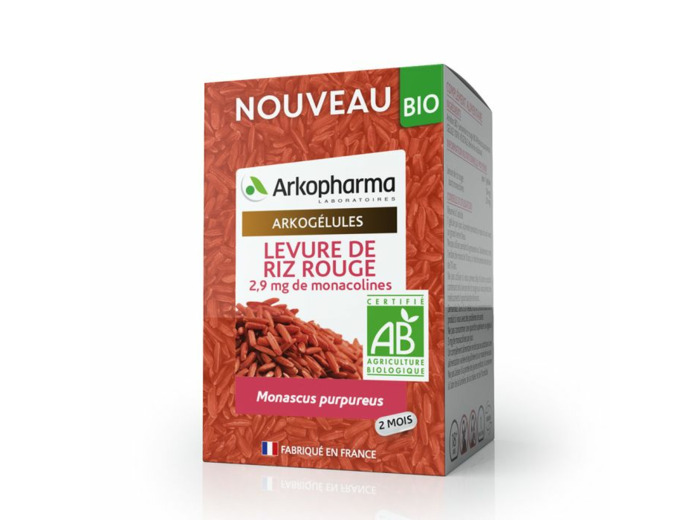 AKG LEVURE DE RIZ RGE BIO 60 GEL