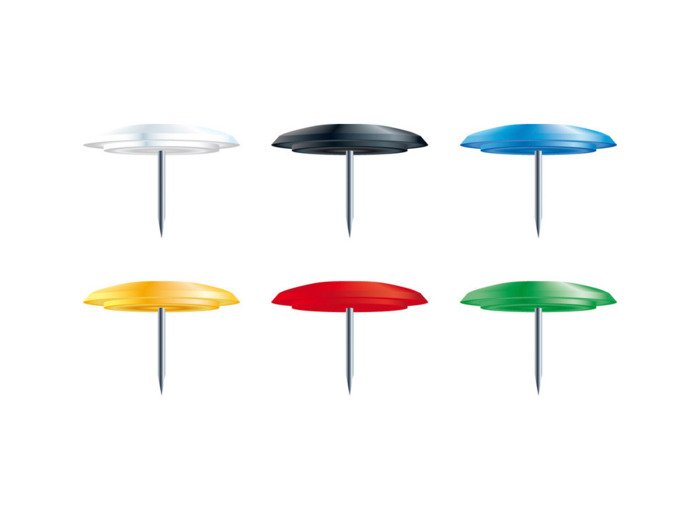 Punaises franches - Couleurs assorties