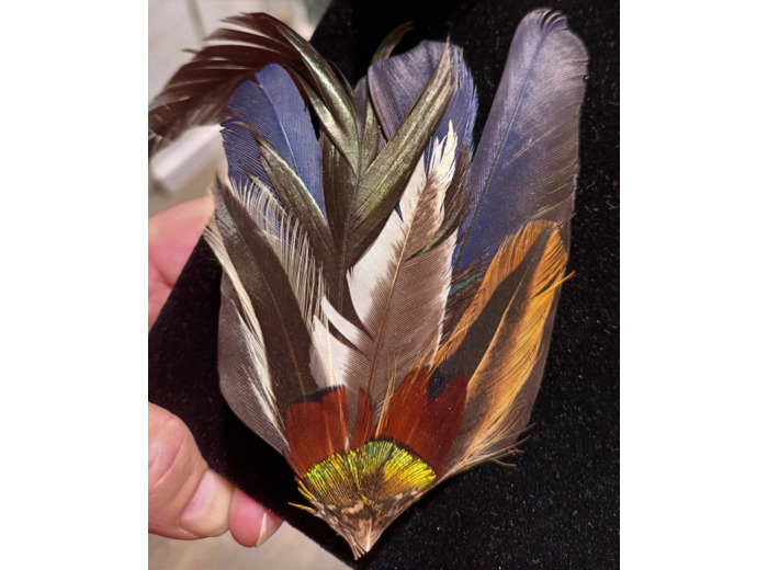 broche barrette en plumes