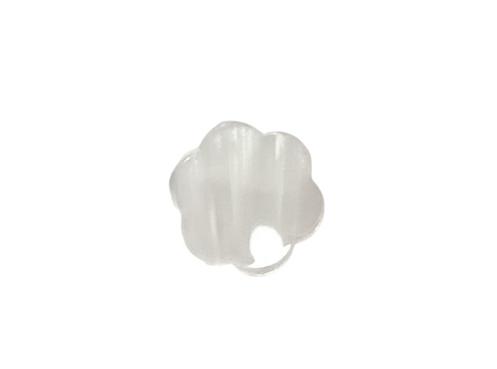 Bouton fleur blanche