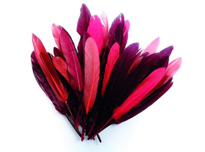 Plumes d'indien - Camaïeu Rouge