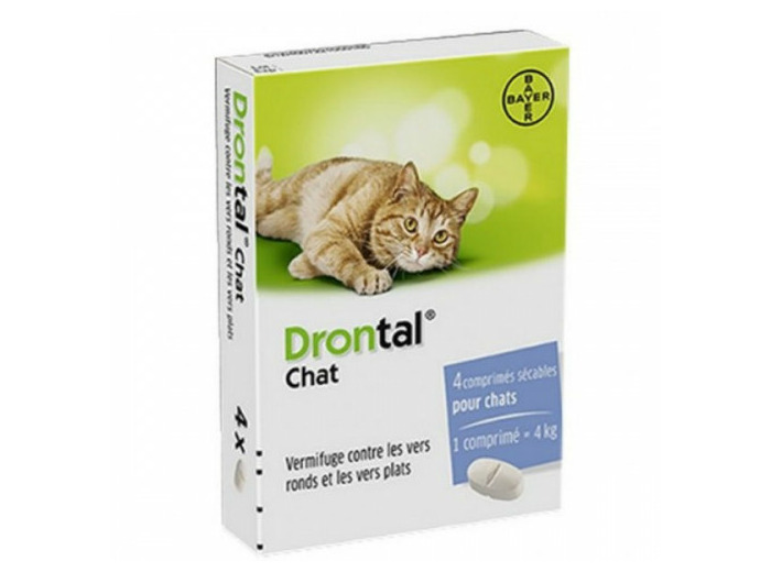 DRONTAL CHAT BTE4CP