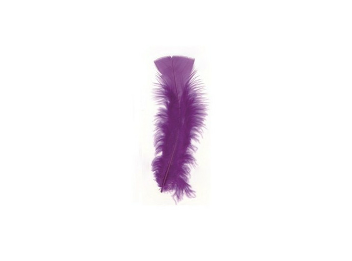 Plumes de dinde - Violet