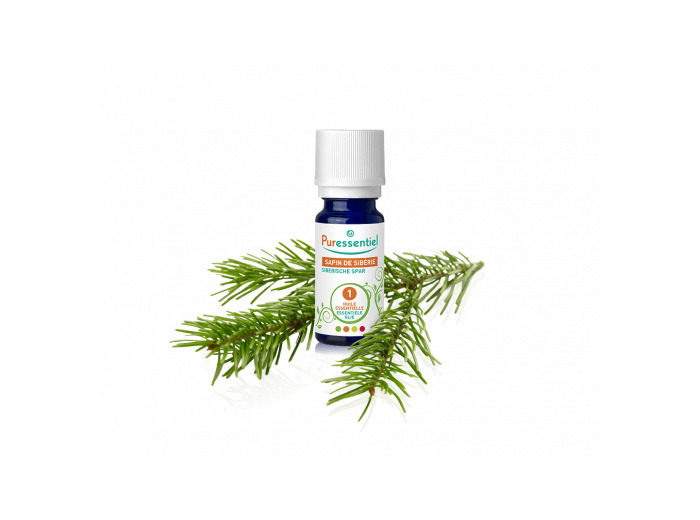 PSL HE SAPIN SIBERIE B 10ML