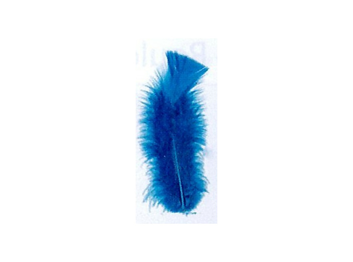 Plumes de dinde - Turquoise