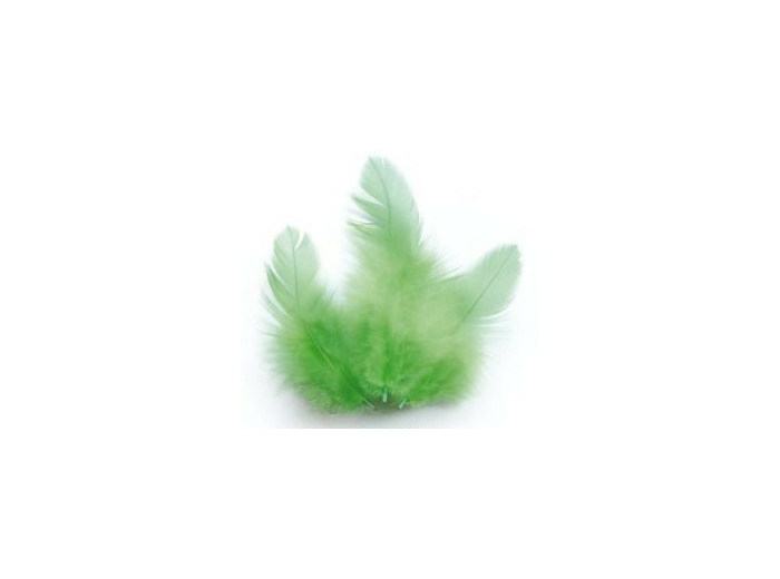 Plumes de coq - Vert clair
