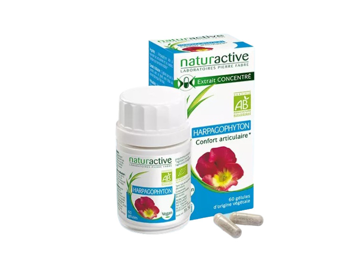 NATURA HARPAGOPHYTUM BIO BTE60