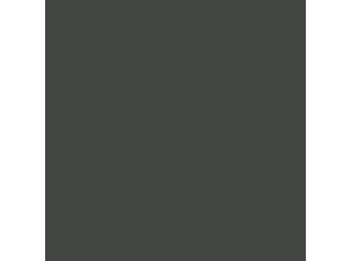 P013 – Jaune Olive – Japon