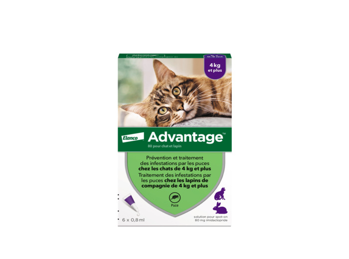 ADVANTAGE 80 CHA/LAPIN 6