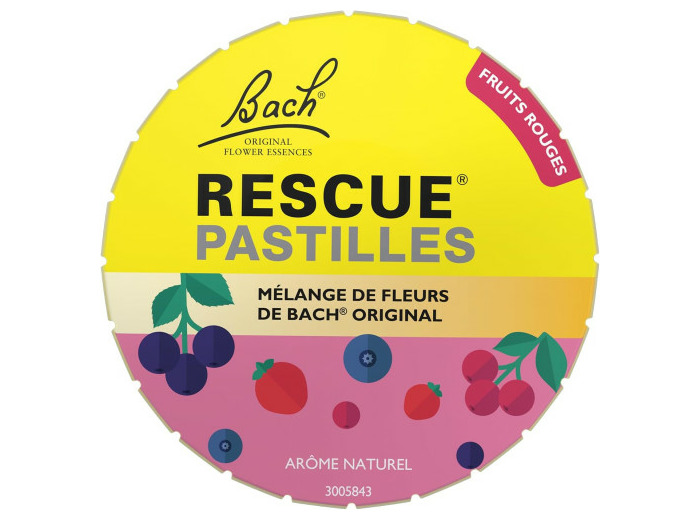 BACH RESCUE PASTILLES FRUITS DES BOIS