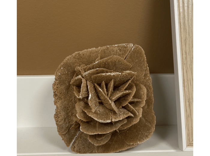 ROSE DES SABLES