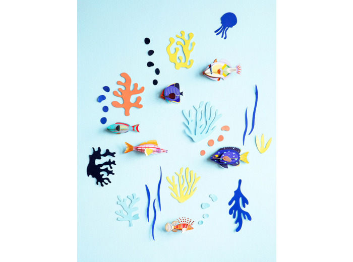 Mur de curiosités - Poissons